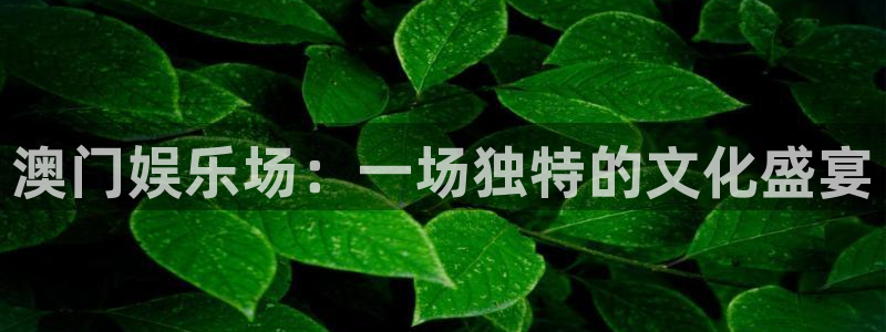 天狮娱乐：澳门娱乐场：一场独特的文化盛宴