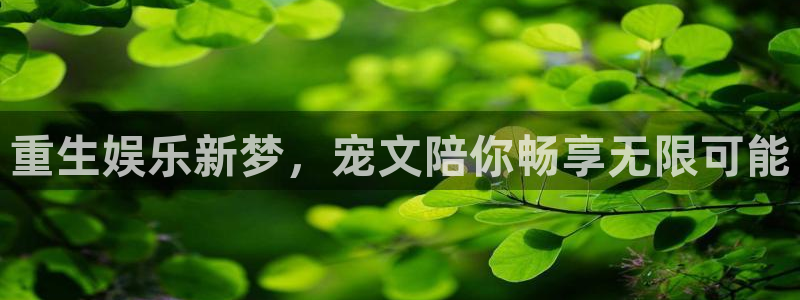 天狮娱乐：重生娱乐新梦，宠文陪你畅享无限可能