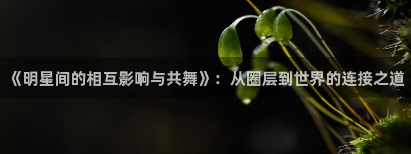 天狮娱乐：《明星间的相互影响与共舞》：从圈层到世界的连接之道