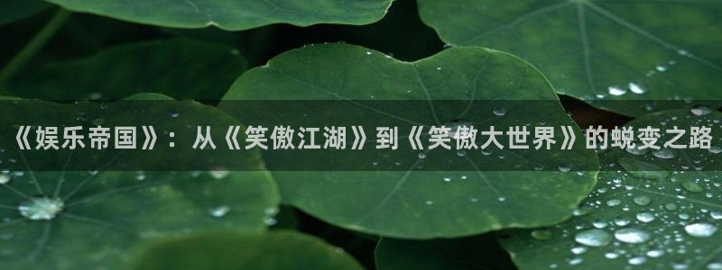 天狮娱乐：《娱乐帝国》：从《笑傲江湖》到《笑傲大世界》的蜕变之路